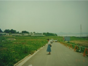 琵琶湖を望む高台＜撮影：平成６年６月11日＞ 